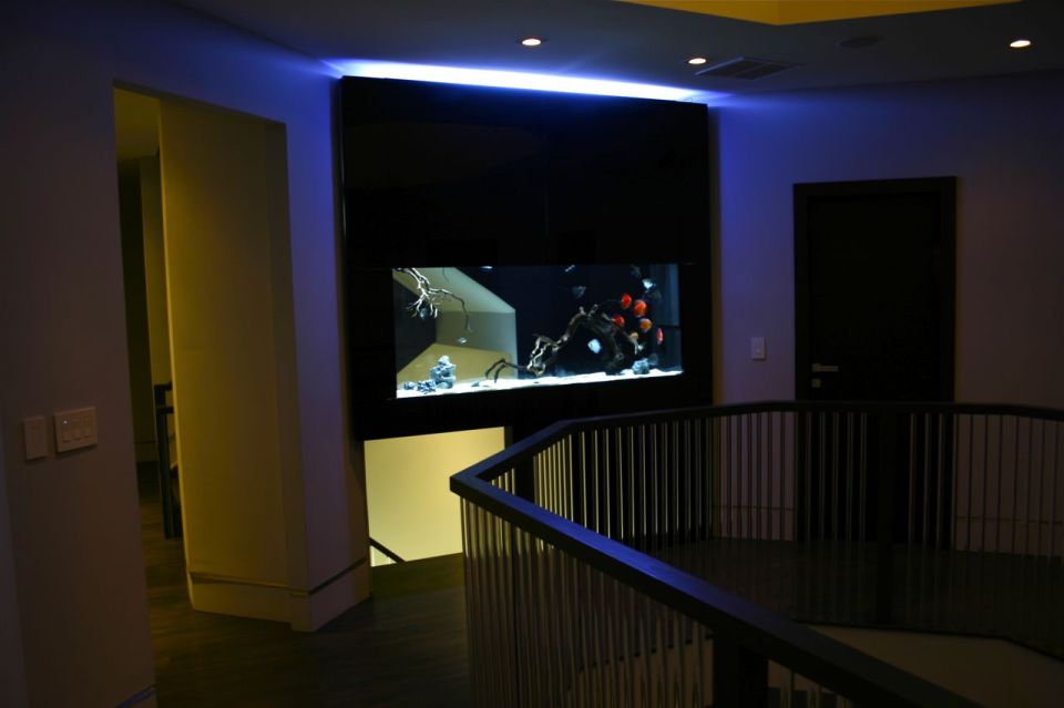 Custom Aquarium in Home Stairwell