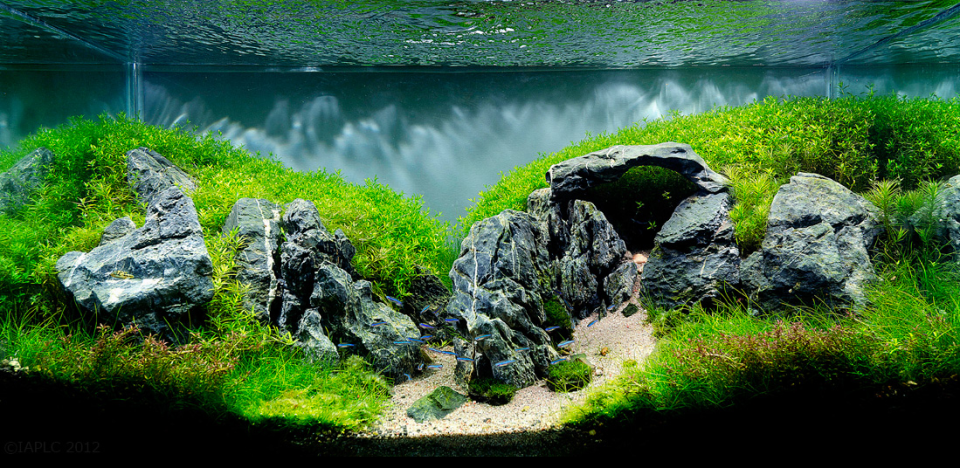 Freshwater Aquascape with Stonehenge Rocks